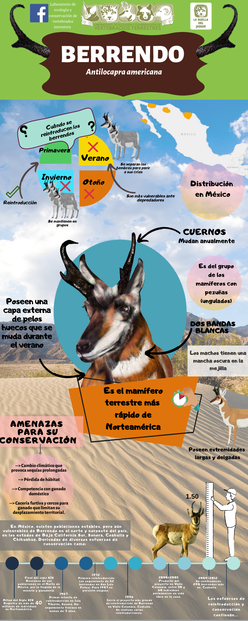 Infografía 